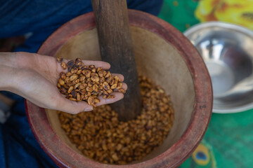 coffee beans in spoon