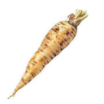 fresh danvers carrot with green leaves on white surface
