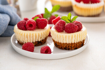 Classic New York cheesecakes in individual cups topped with fresh raspberry