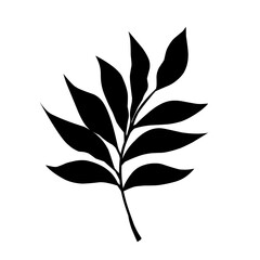 Black Silhouette Leaf Design Element