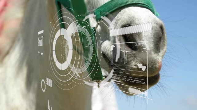 Horse muzzle wearing green halter being overlaid with translucent futuristic HUD graphics outdoors