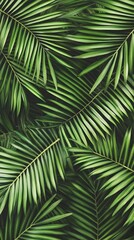 Lush Green Tropical Palm Leaves Background Texture
