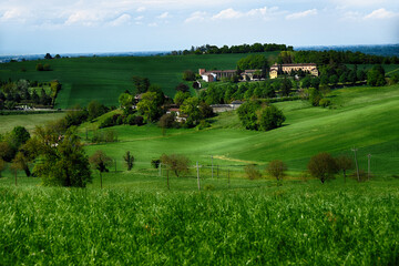 Verdi colline di Valmadonna - Alessandria - Monferrato - Piemonte - Italia