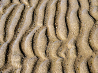 Pattern of ridges on a sandy beach