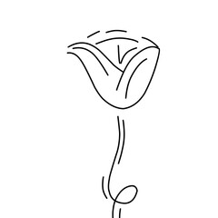 Simple continuous line of tulip. Continuous one line drawing tulips. Spring concept. Single line draw design vector illustration. Tulip sketch	
