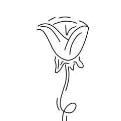 Simple continuous line of tulip. Continuous one line drawing tulips. Spring concept. Single line draw design vector illustration. Tulip sketch	
