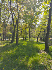 Fototapeta premium Panorama of South Park in city of Sofia, Bulgaria