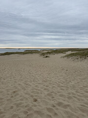 Wide Sandy Dunes Leading to Ocean Horizon Under Overcast Sky