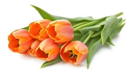 A bouquet of orange tulips with green leaves