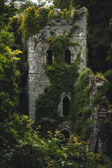Ruined medieval tower covered in lush greenery, a forgotten relic of a bygone era slowly being reclaimed by nature.