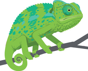 Naklejka premium Chameleon perched on branch bright green and turquoise colors detailed vector illustration 