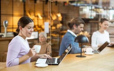 Young woman spending time in cozy coffeehouse with laptop and coffee