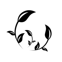 leaf logo vector illustration template design