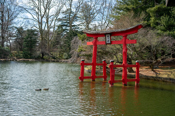 traditional japanese garden with red arch