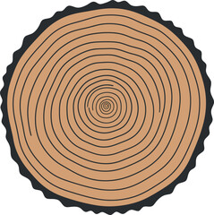 Fototapeta premium Tree trunk cross section vector with concentric rings natural texture illustration
