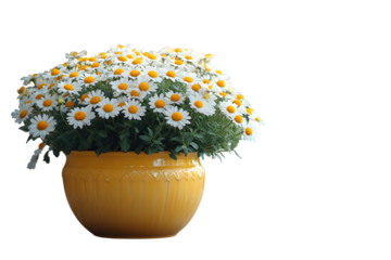 Vibrant Yellow Pot with Blooming White and Yellow Flowers Ideal for Home Decor and Garden Sett