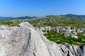 石灰岩だらけの秋吉台