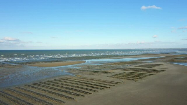 Oyster beds facing the sea at Utah Beach in Europe, France, Normandy, near Carentan, in spring, on a sunny day.&nbsp;