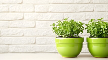 Two Green Plants in Pots White Brick Wall Background