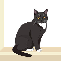 Obraz premium Black and white cat sitting on beige ledge vector illustration with yellow eyes 