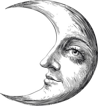 Vintage sketch of crescent moon with human face in detailed black lines. Vector illustration