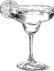 Black and white sketch of a margarita glass with lime slice, artistic illustration. Vector illustration