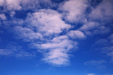 青空と白い雲