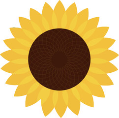 Sunflower vector illustration with yellow petals and brown center in flat design style 