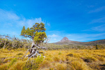 Barn Bluff Morning View in Tasmania Australia