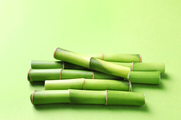 Fototapeta premium Cut bamboo stems on light green background, closeup