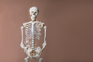 Artificial human skeleton model on light brown background, space for text