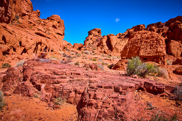 Fototapeta premium Red Sandstone Formations and Desert Shrubs under Blue Sky Moapa Valley