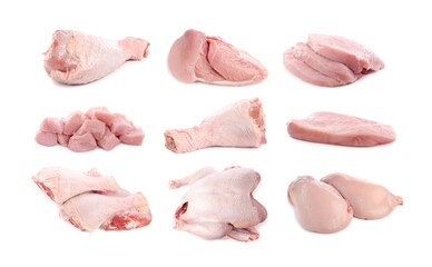 Fresh raw turkey meat isolated on white, set