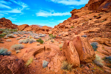 Redstone Dune Desert Serenity Ground-Level Perspective
