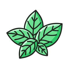 Basil Leaf Bunch with Fresh Green Herbs Icon Design