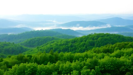 Obraz premium misty green forest hills with layered mountains in soft blue haze for serene landscape view