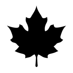 Maple Leaf Silhouette Icon Design