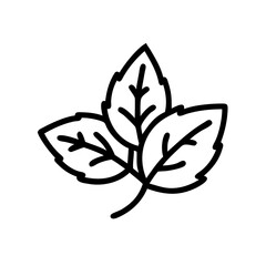 Mint Leaves Cluster with Fresh Green Texture Icon Design