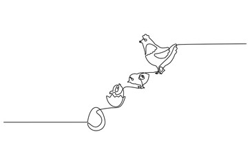 Continuous one line drawing of Chicken life cycle. Single line drawing illustration of Chicken Growth from egg. Chicken concept vector art. Doodle line illustration.