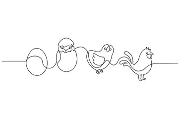 Continuous one line drawing of Chicken life cycle. Single line drawing illustration of Chicken Growth from egg. Chicken concept vector art. Doodle line illustration.