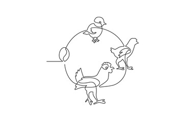 Continuous one line drawing of Chicken life cycle. Single line drawing illustration of Chicken Growth from egg. Chicken concept vector art. Doodle line illustration.