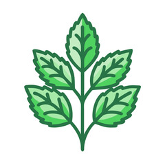 Stevia Plant with Leafy Green Foliage Icon Design