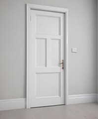 Crisp white door, subtle handle detail, closed position ,  product photography,  home,  decor