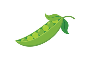 Fresh Peas Vegetable vector