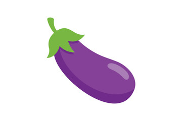 Fresh Eggplant Vegetable vector