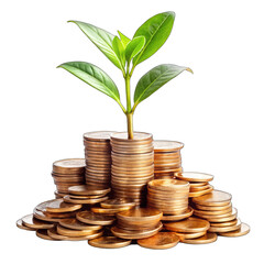 tree growing from coins