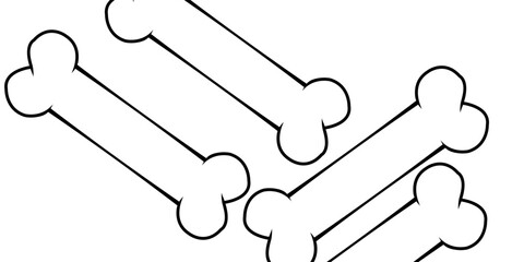 Black And White Outlined Dog Bone Cartoon Drawing Simple Design. Vector Illustration Isolated On White Background eps10