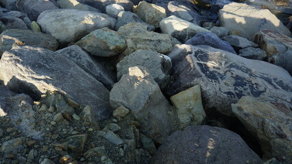 Ancient rock carvings on a rocky shoreline