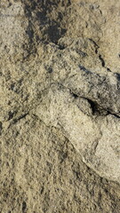 Close-up rock texture, natural stone surface, outdoors
