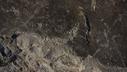 Close-up textured rock face, natural pattern, outdoor background